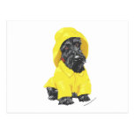 April Showers Scottish Terrier Post Cards