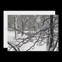 April Snow invitations