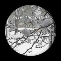 April Snow magnets