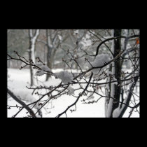 April Snow posters