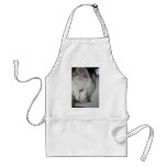 Apron, White Cat