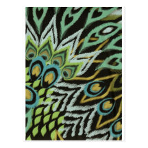Aqua and Black Peacock Postcard