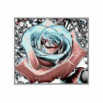 Aqua and Pink "coloured foil" rose