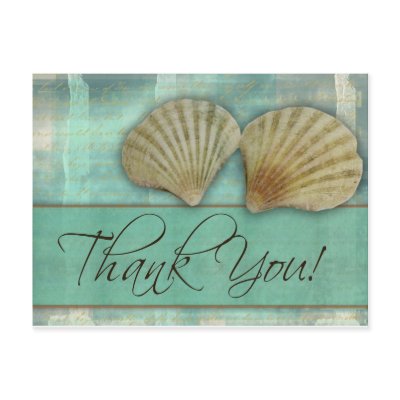 Aqua blue thank you - with sea shells postcards by perfectpostage