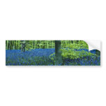 Aqua Bluebell Woods flowers Bumper Stickers