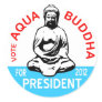 Aqua Buddha Sticker