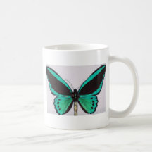 Aqua Butterfly Coffee Mugs