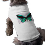 Aqua Butterfly Pet Clothes