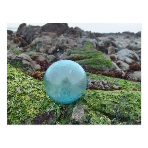 Aqua float on greenery at tide pool post card