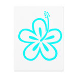 Aqua hibiscus aloha flower post card