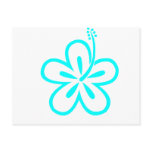 Aqua hibiscus aloha flower postcard