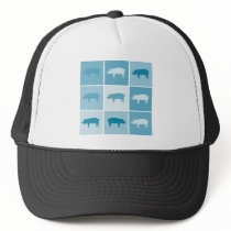 Aqua Piggies