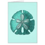 Aqua Sand Dollar Cards