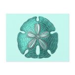 Aqua Sand Dollar Postcard