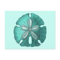 Aqua Sand Dollar Postcard