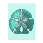 Aqua Sand Dollar Post Cards