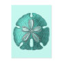 Aqua Sand Dollar Post Cards