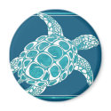 Aqua Sea Turtle magnets