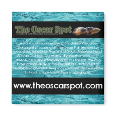 Aqua-Spot Refrigerator Magnet by oscar_azac