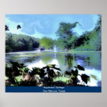 Aquarena Springs posters