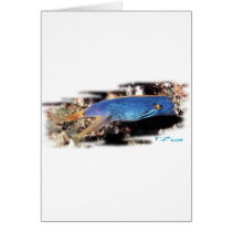 Aquarium Collection by FishTs.com Card