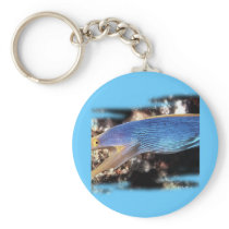 Aquarium Collection by FishTs.com Key Chains