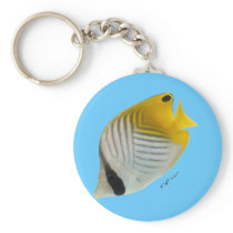 Aquarium Fish Collection by FishTs.com