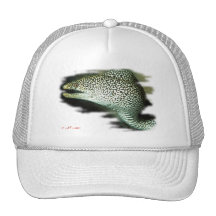 Aquarium Fish Collection by FishTs.com Trucker Hat