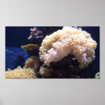 Aquarium Mural Background Poster