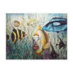 Aquarium