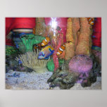 Aquarium posters