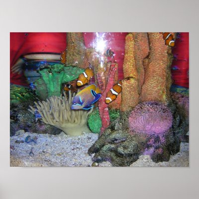 Aquarium Print by DaniD162004