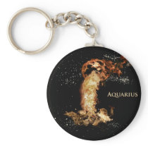 Aquarius astrology sign key chains