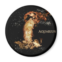 Aquarius astrology sign refrigerator magnet