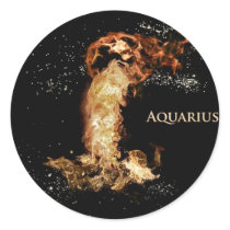 Aquarius astrology sign sticker