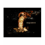 Aquarius astrology sign t-shirts