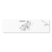 Aquarius Bumper Stickers