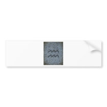 aquarius bumper stickers