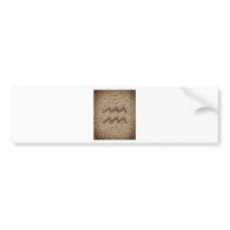 aquarius bumper sticker