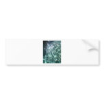 Aquarius Bumper Stickers