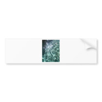 Aquarius Bumper Sticker