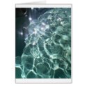 Aquarius cards