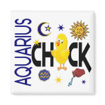 Aquarius Chick 1