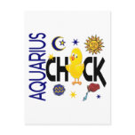Aquarius Chick 1