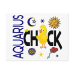 Aquarius Chick 1