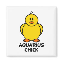 Aquarius Chick Magnet