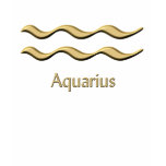 Aquarius gold symbol t-shirt
