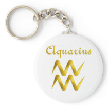 Aquarius Keychain