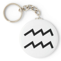 Aquarius Key Chains