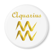 Aquarius Magnet